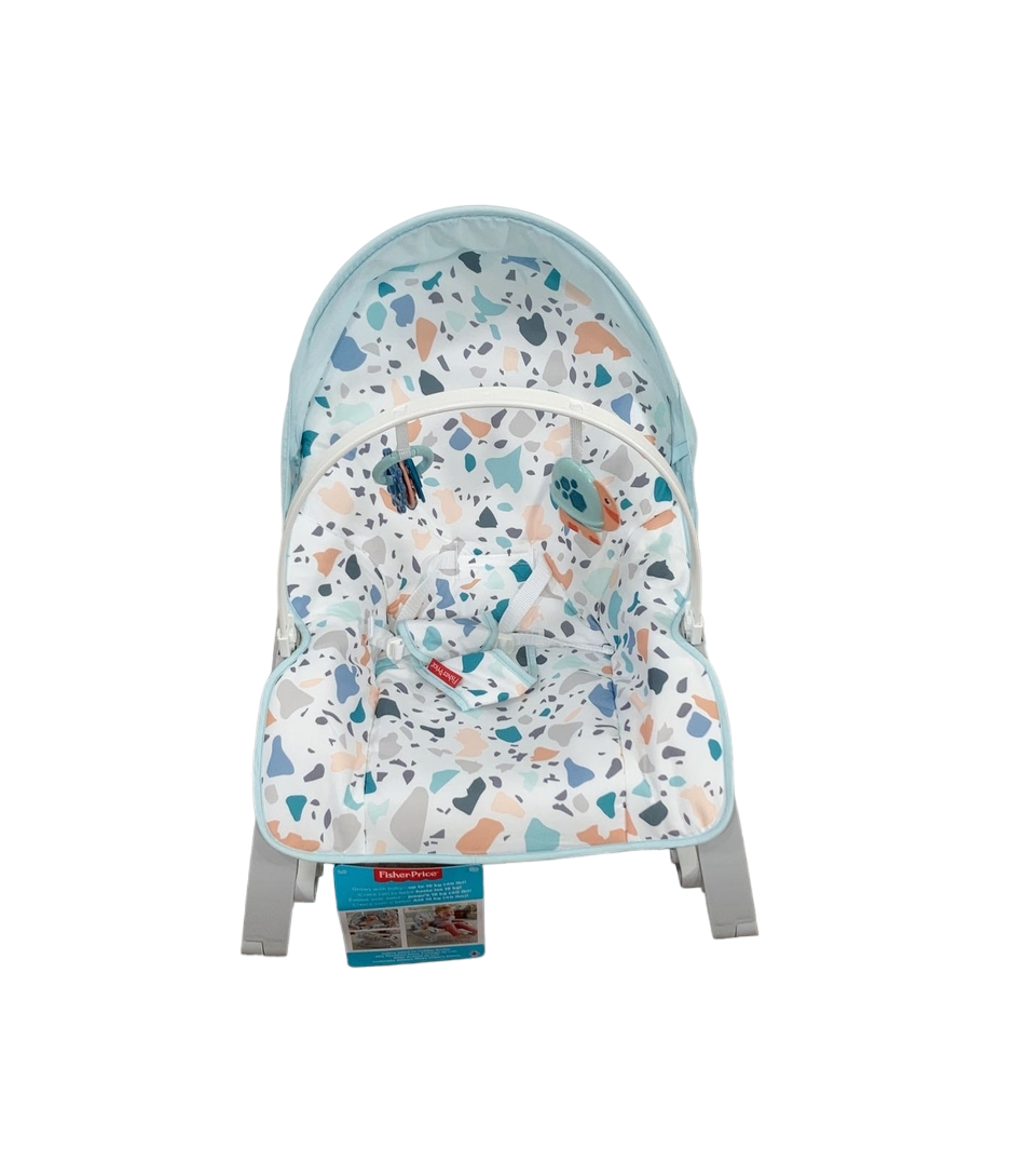 Fisher Price Deluxe Infant To Toddler Rocker, Pacific Pebble