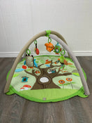 used Skip Hop Activity Gym/ Playmat, Treetop Friends
