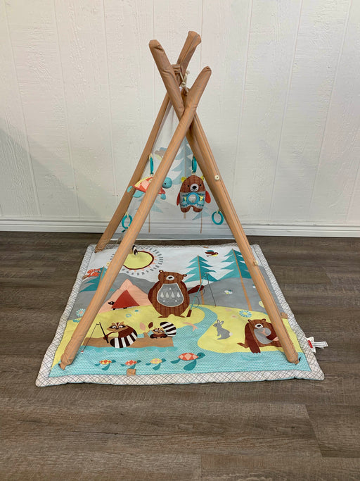 used Skip Hop Camping Cubs Activity Gym