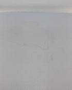 secondhand Ingenuity Dream & Grow Bedside Bassinet Dalton