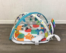 secondhand Baby Einstein 4-in-1 Kickin’ Tunes Music Activity Gym