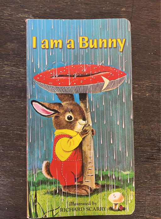 secondhand BUNDLE Books