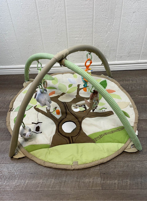 used Skip Hop for Pottery Barn Playmat