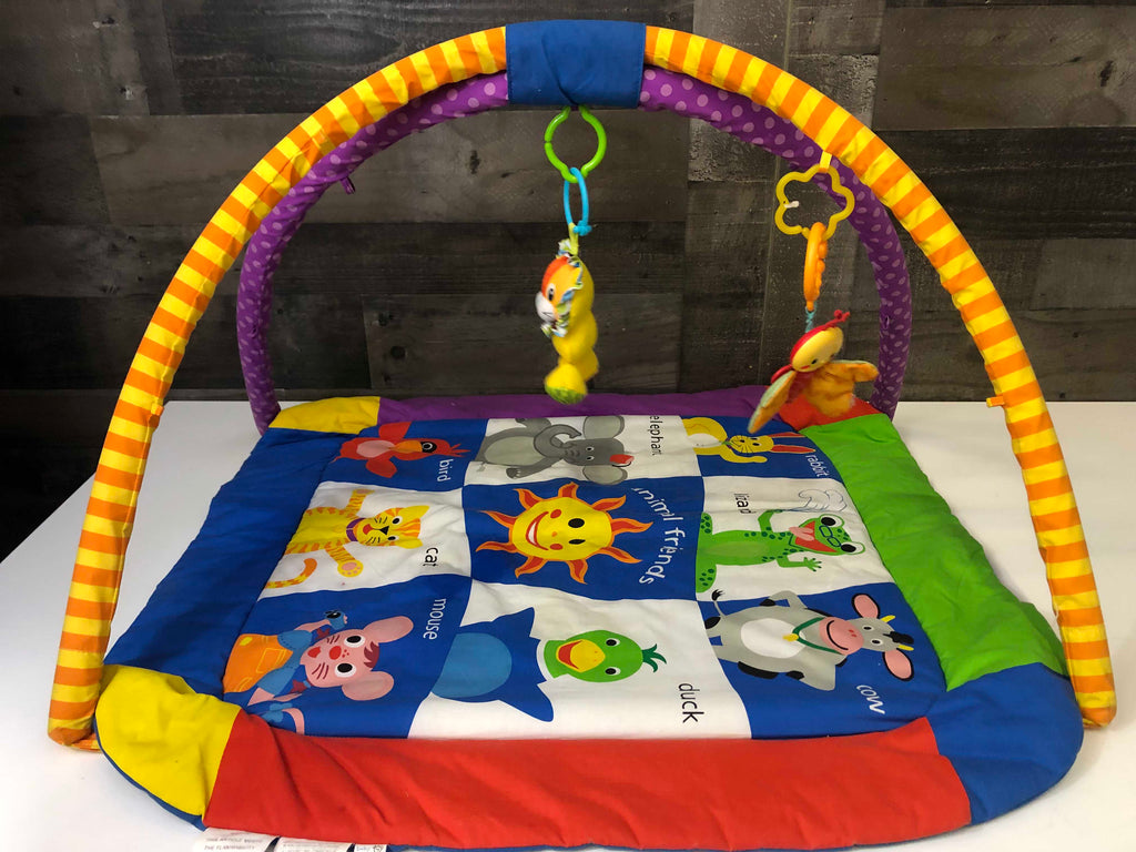 Baby Einstein Play Gym