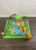 used Fisher Price Rainforest Melodies and Lights Deluxe Gym