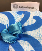 used Baby Einstein Explore & Discover Soft Blocks