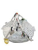 Shop Sassy Tummy Time Reversible Milestone Activity Gym at GoodBuy Gear
