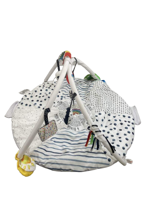 Shop Sassy Tummy Time Reversible Milestone Activity Gym at GoodBuy Gear