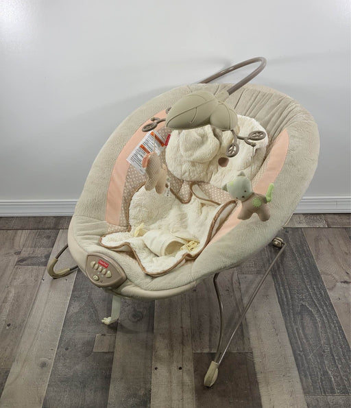 used Fisher Price Deluxe Bouncer, My Little Snugapuppy