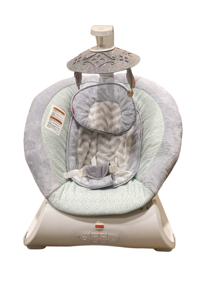 Sweet surroundings store deluxe bouncer