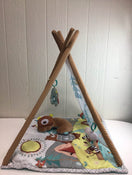 used Skip Hop Camping Cubs Activity Gym
