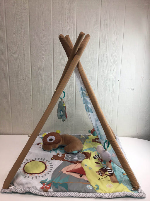 used Skip Hop Camping Cubs Activity Gym