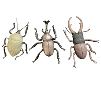 secondhand BUNDLE Insects