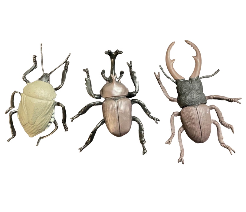 secondhand BUNDLE Insects