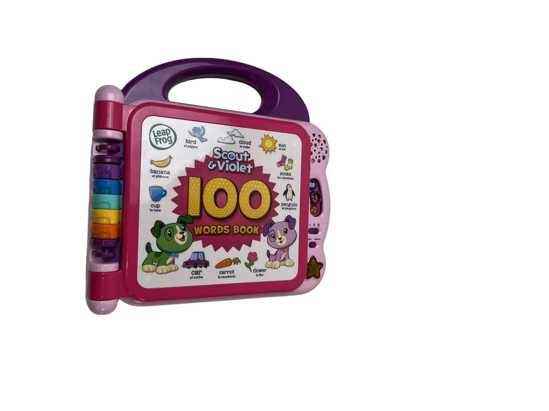 Leap Frog 100 Words About Places I Go Book