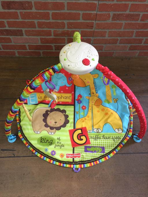 secondhand Fisher Price Safari Musical Light Up Gym