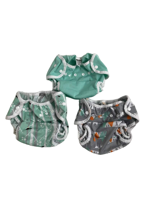 used Thirsties All-In-One Diapers