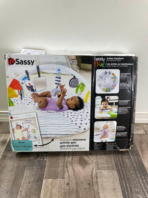 used Sassy Tummy Time Reversible Milestone Activity Gym