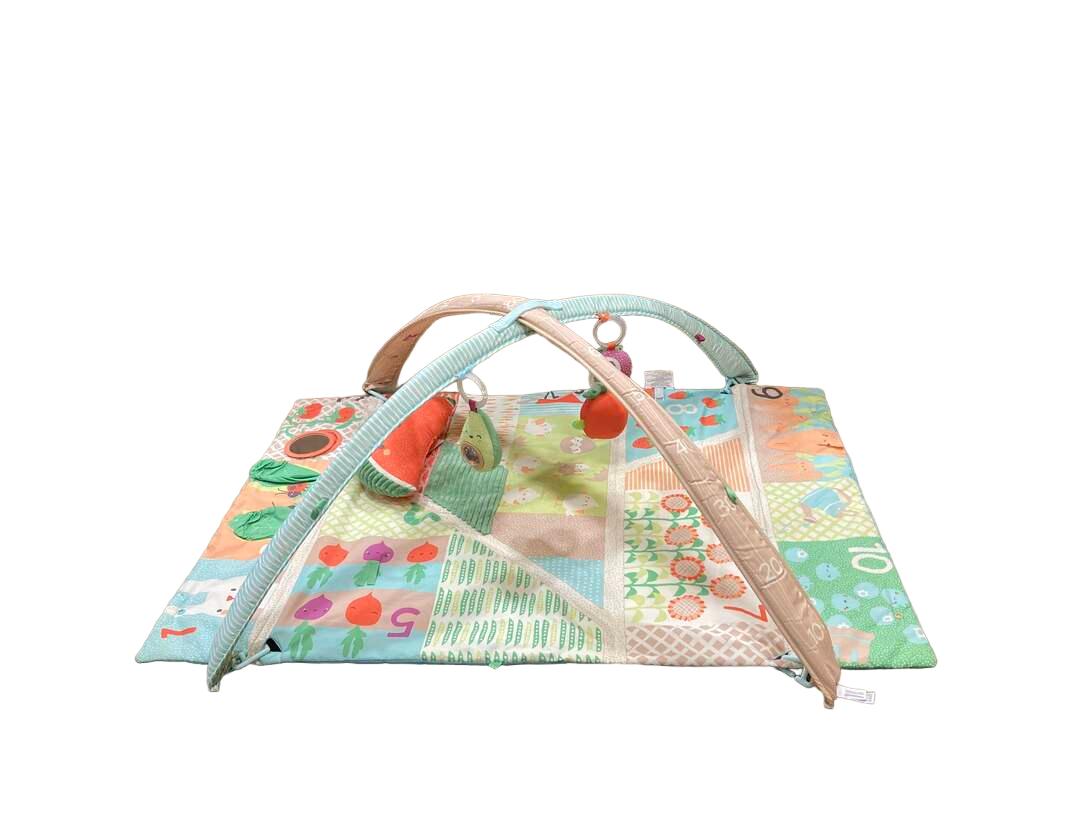 Skip hop farmstand activity top gym