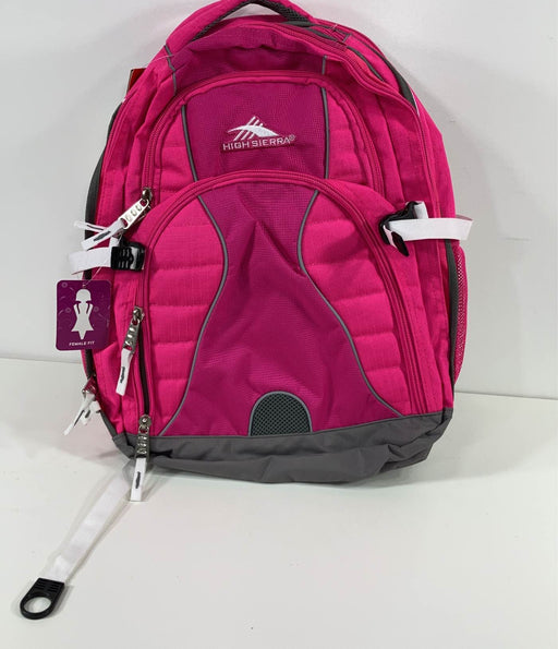 used High Sierra Swerve Computer Backpack