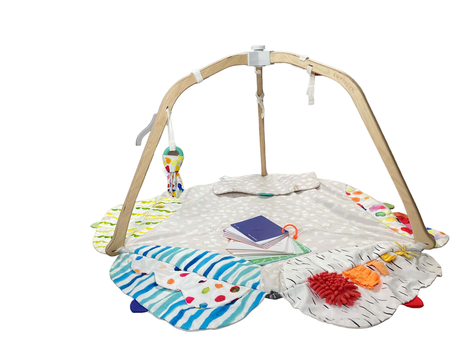 used Lovevery The Play Gym