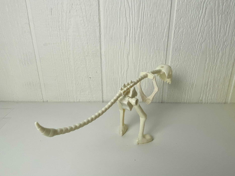 Shop Dinosaur Skeleton at GoodBuy Gear