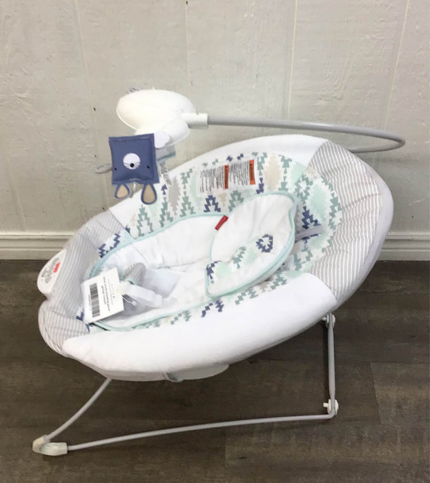 used Fisher Price Deluxe Bouncer