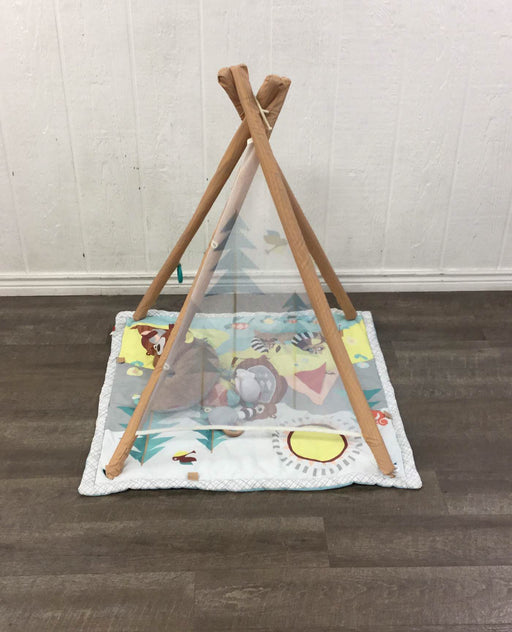 secondhand Skip Hop Camping Cubs Activity Gym