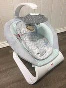 secondhand Fisher Price Sweet Surroundings Deluxe Bouncer