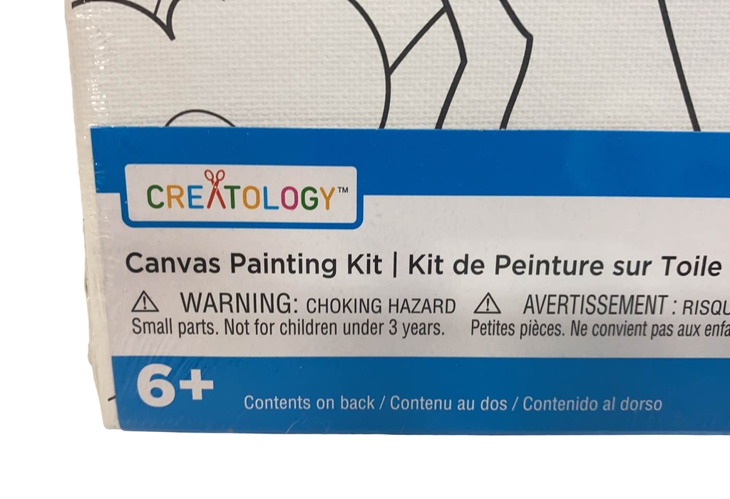 Assorted Canvas Paint Set by Creatology™