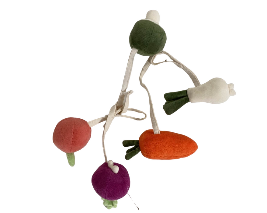 used Kids Concepts Veggie Playmat Accessories