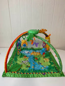 used Fisher Price Rainforest Melodies and Lights Deluxe Gym