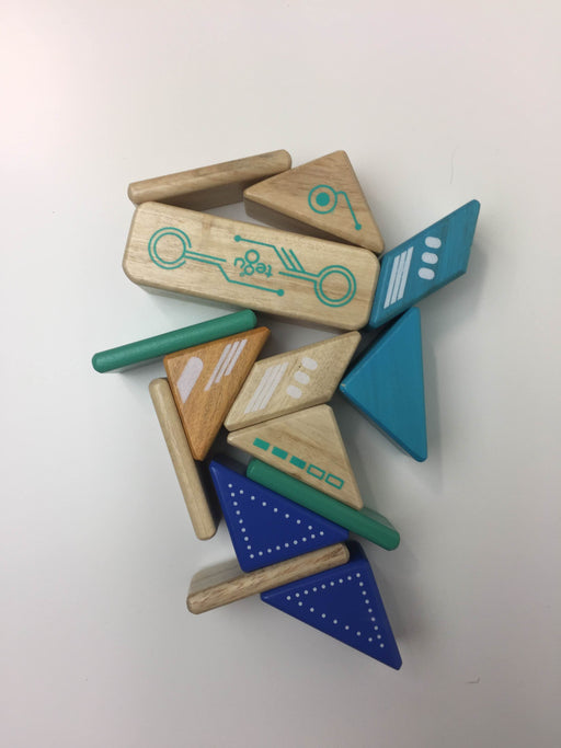secondhand Tegu Magnetic Wood Blocks