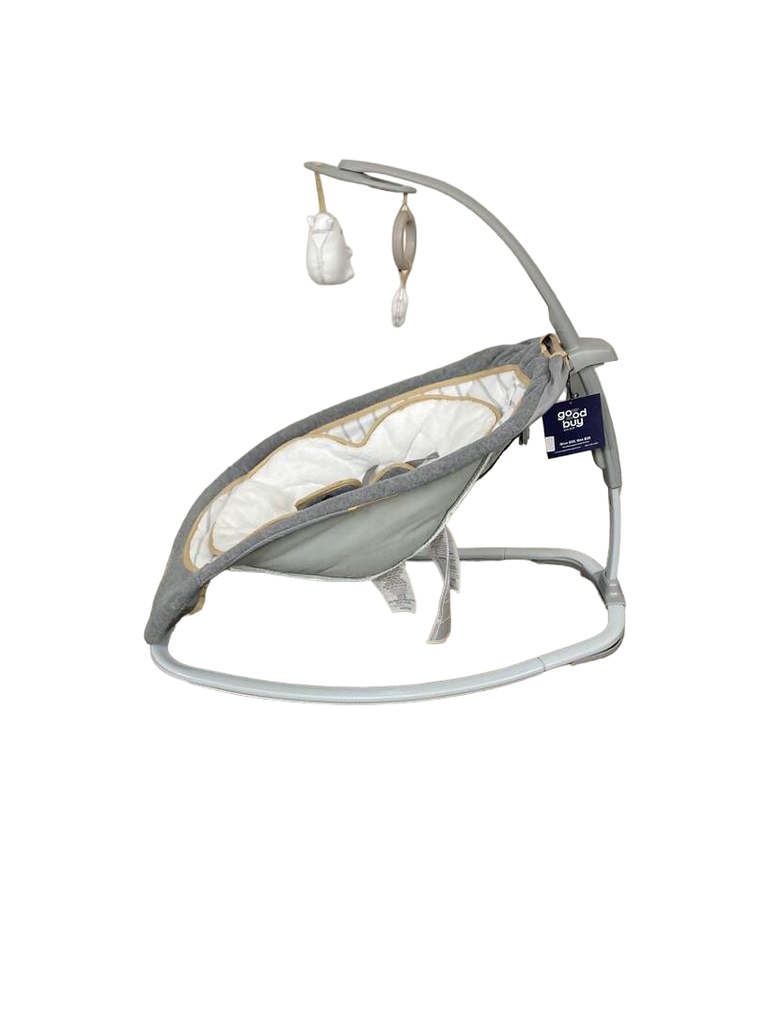 Ingenuity Rocking Seat, Bella Teddy