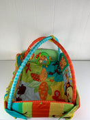 secondhand Bright Starts 5-in-1 Your Way Ball Play Activity Gym