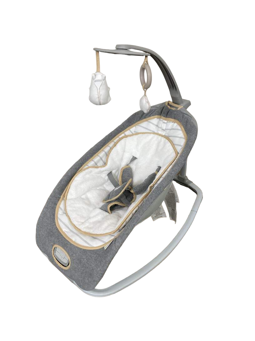 Ingenuity Rocking Seat Bella Teddy
