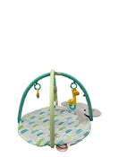 Shop Bright Starts Hug-n-Cuddle Playmat, Elephant/Green at GoodBuy Gear