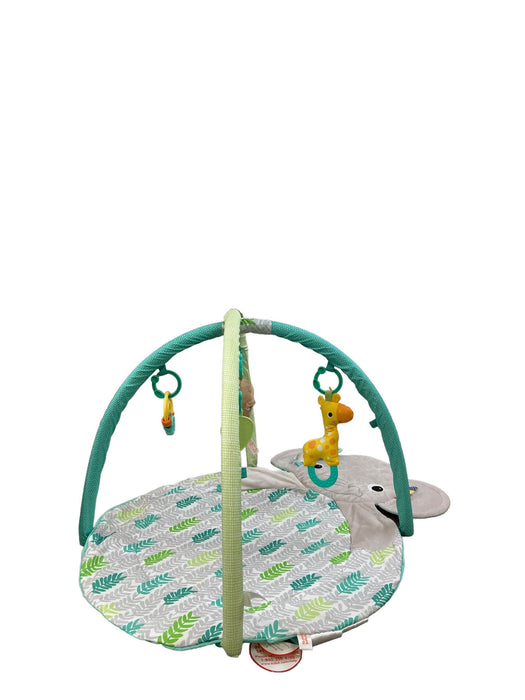 Shop Bright Starts Hug-n-Cuddle Playmat, Elephant/Green at GoodBuy Gear