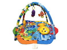 secondhand Baby Einstein Activity Gym, Rhythm Of The Reef