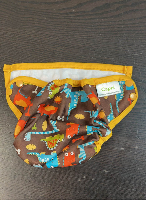 secondhand Diapering