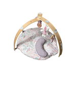 used Ingenuity Cozy Spot Reversible Activity Gym, Flowers