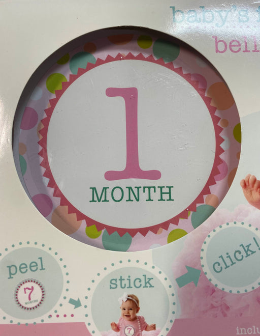 secondhand Stepping Stones Baby’s First Year Belly Stickers