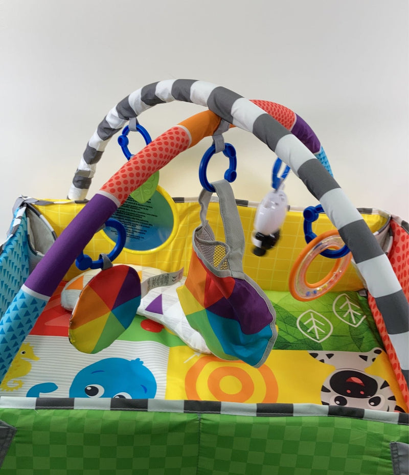 Baby Einstein Patch’s 5in1 Activity Play Gym & Ball Pit