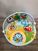 used Skip Hop Explore And More Amazing Arch Activity Gym