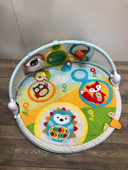 used Skip Hop Explore And More Amazing Arch Activity Gym