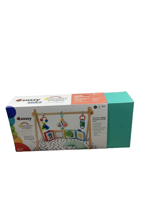 Shop Sassy Sensory Stages Developmental Play Gym at GoodBuy Gear