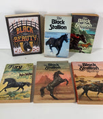 used BUNDLE Chapter Books, -Black Beauty