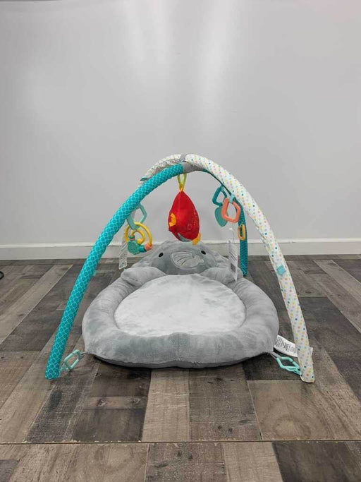 secondhand Bright Starts Enchanted Elephants Activity Gym