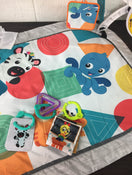 used Baby Einstein 4-in-1 Kickin’ Tunes Music Activity Gym