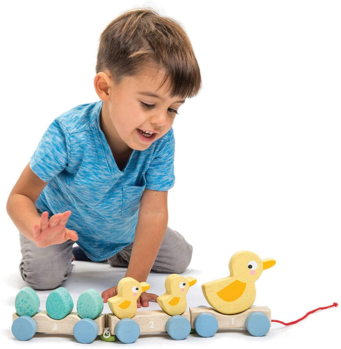 Tender Leaf Toys Pull Along Ducks